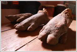 Rhinoceros feet.