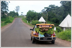 Car loaded with bananas on Route N5.