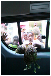 Vendors proffering pineapples on Route N5.