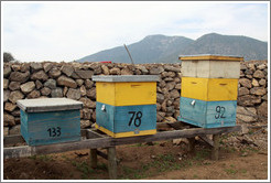 Boxes that bees live in.  Emiliana Vineyards.