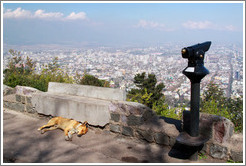 Homeless dog, sleeping at a viewpoint at  the top of Cerro San Crist?.