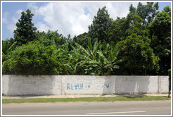 Faded letters painted on the wall spelling "Revoluci&oacute;n".