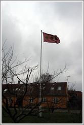 Christiania flag.