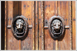 Lions adorning the doors of the H? de Ville (city hall).