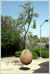 Tree growing from a concrete seed, Artists' Quarter, Old Jaffa.