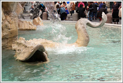 Sea monster, Fontana dei Quattro Fiumi (Fountain of the Four Rivers), Piazza Navona.