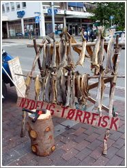 Dried fish at the market downtown.