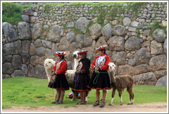 Three women with alpacas, Sacsayhuam?