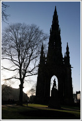 Silhouette of Scott Monument and tree.