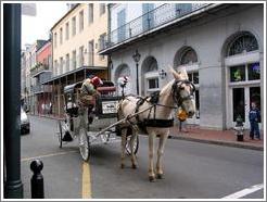 French Quarter. Mule.