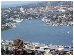 Lake Union as viewed from the Space Needle.